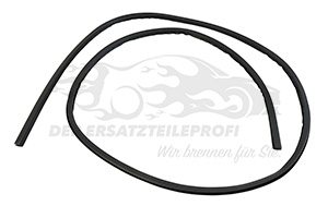 Fensterdichtung (Windschutzscheibe)