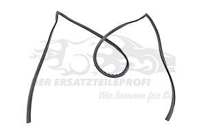Zier- Schutzleiste für Frontscheibe Saint Gobain 727529170R