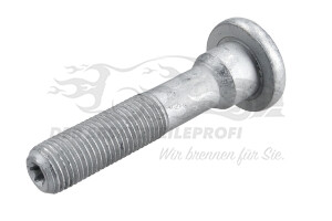 352269 Querlenkerschraube Vorderachse 
