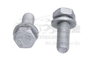 9810177780 Schraube für Kurbelwellenriemenscheibe (VPE 2) Citroen