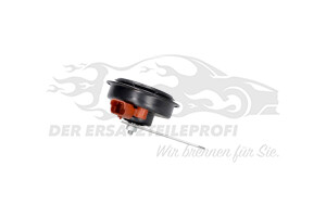 256107131R Hupe Dacia