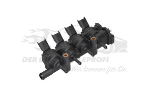 175230616R Einspritzrampe LPG Dacia