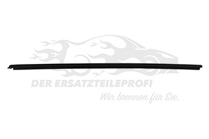 Fensterdichtung (Seitenscheibe) Fahrerseite vorne