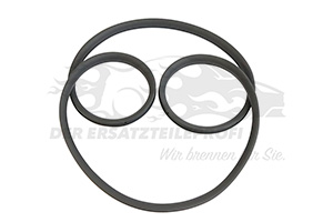 769246051R Türdichtung Hintertür links Dacia