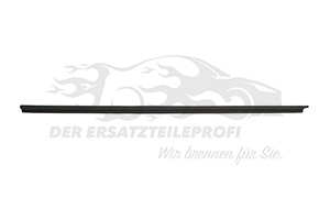Fensterdichtung (Beifahrertür) aussen
