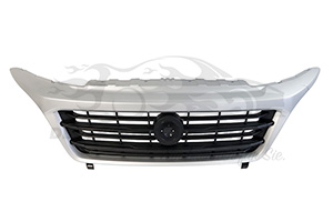 Kühlergrill chrom (NEX)