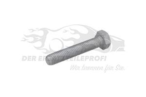 Schraube für Spannrolle