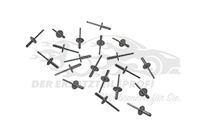 7703072047 Niete für Stoßfänger / Stoßstangenhalter (VPE 20) 