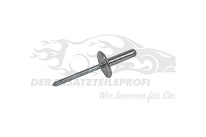 7703072047 Niete für Stoßfänger / Stoßstangenhalter (VPE 20) 