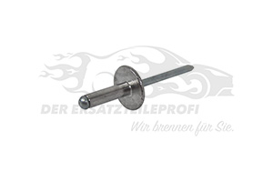 7703072047 Niete für Stoßfänger / Stoßstangenhalter (VPE 20) 