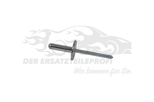 7703072047 Niete für Stoßfänger / Stoßstangenhalter (VPE 20) 
