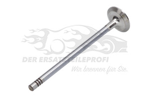 132025379R Auslassventilsatz (VPE 6 Stück) 