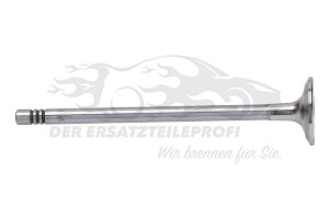 132025379R Auslassventilsatz (VPE 6 Stück) 