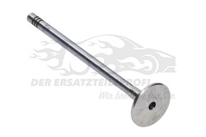 132025379R Auslassventilsatz (VPE 6 Stück) 
