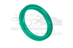7701066088 Dichtring für Turboladerschlauch 