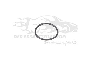 O-Ring für Steuereinheit