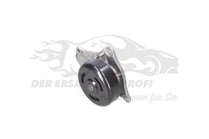210102662R Wasserpumpe Renault