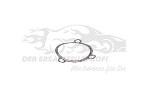 Dichtung für Abgas-Rückführungsventil (EGR)