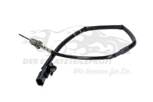 226409306R Abgastemperatursonde hinter FAP Renault