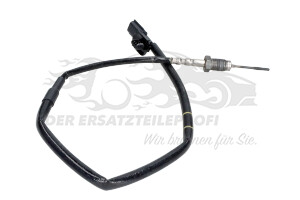 226409306R Abgastemperatursonde hinter FAP Renault
