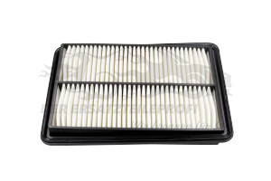 165464BD0C Luftfilter Renault