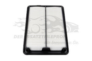 165464BD0C Luftfilter Renault