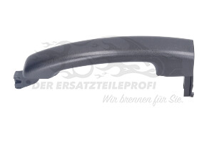 806078119R Türgriff aussen Renault