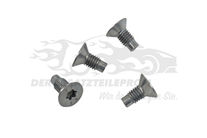 440A06575R Bremsscheibensatz ohne Radlager hinten Renault
