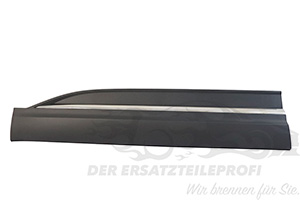 Zierleiste vorne links
