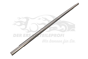 Dichtung für Seitenscheibe Renault 808218638R
