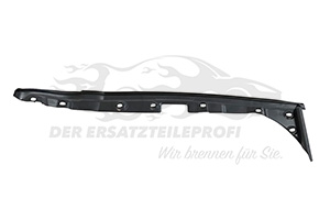 808389632R Türdichtung A-Säule links Renault