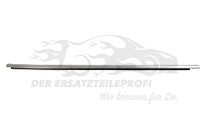 Fensterdichtung (Seitenscheibe)