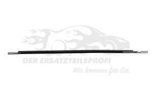 828219784R Fensterdichtung (Seitenscheibe) Renault