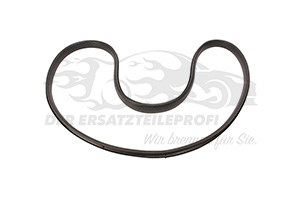 Türdichtung Renault 769239099R
