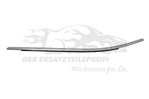 Fensterdichtung (Seitenscheibe) Fahrerseite unten hinten aus