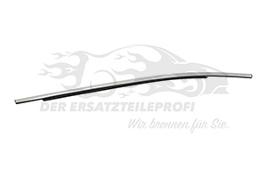 Fensterdichtung (Seitenscheibe) Beifahrerseite unten hinten