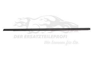 Fensterdichtung (Seitenscheibe)