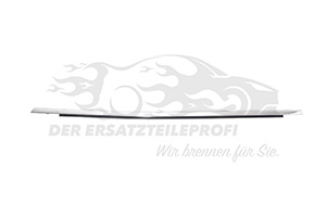 Fensterdichtung Beifahrerseite (Seitenscheibe)