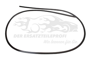 Fensterdichtung (Windschutzscheibe)
