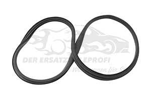 Türdichtung Renault 769230508R