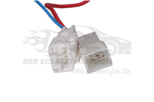 059903137T Keilrippenriemen 6PK2490 Dayco/Gates/Hutchinson/INA/SKF/SNR