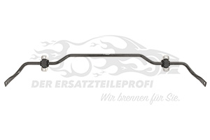 Stabilisator Hinterachse