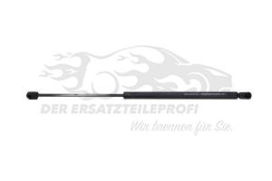 Heckklappendämpfer