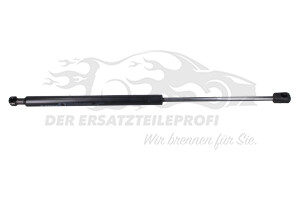 Heckklappendämpfer