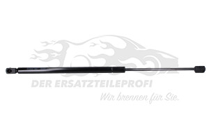 Heckklappendämpfer