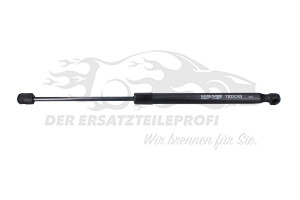 Heckklappendämpfer
