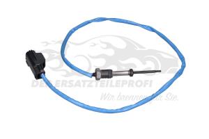 1606611580 Temperatursonde Kat / Fap-Filter vorne Citroen
