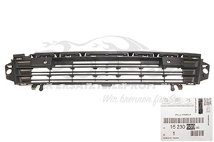 1681860280 Gitter, Stoßfänger vorne unten Citroen