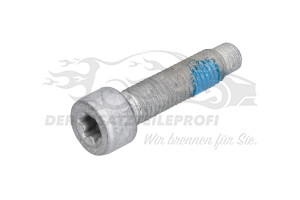 1383586 Schraube M10x35 (VPE 10) 
