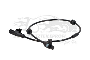 ABS Sensor Hinten